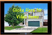 WebsiteVideoDemoLink